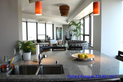 16-1100 Condo-015.jpg