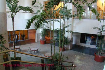 atrium4.jpg